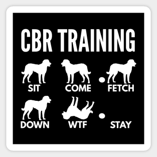 CBR Training Chesapeake Bay Retriever Tricks Sticker